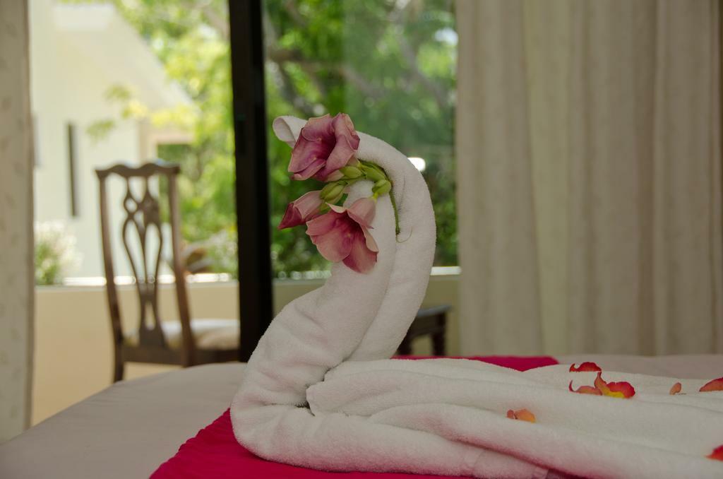 פלאייה דל כרמן Green Oasis Home Boutique מראה חיצוני תמונה